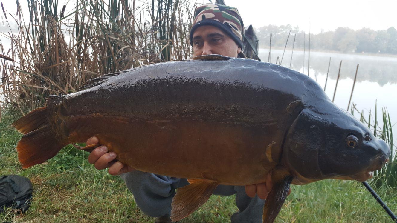 ISOLA DEL PESCATORE 4 - 5 oct. - img-20171007-wa0005.jpg